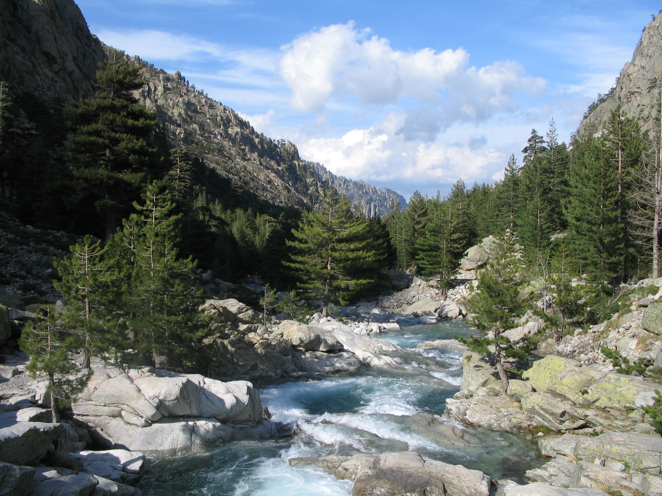 Restonica : l’écrin sauvage de la montagne corse